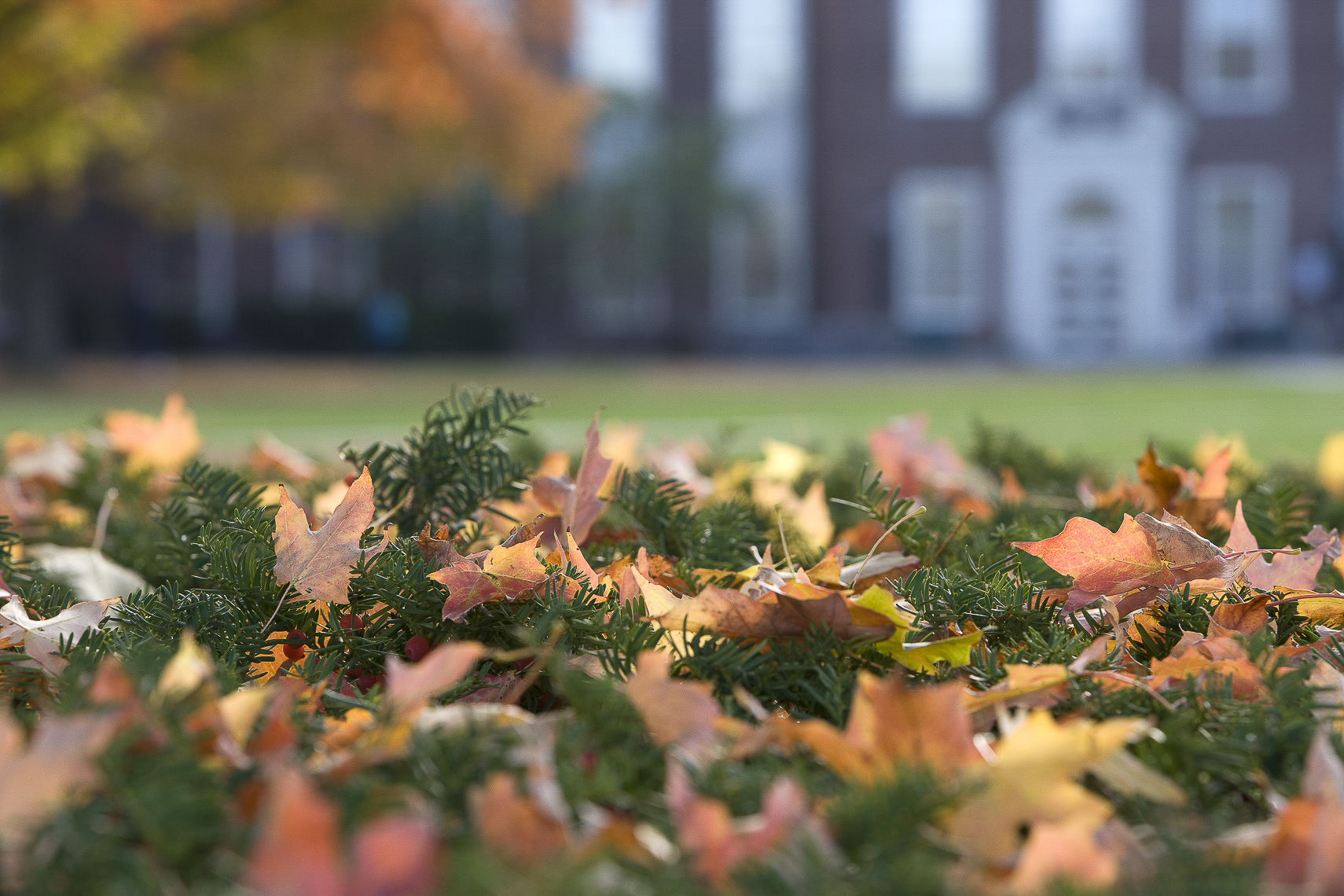 malyszko_learning-education_photo14